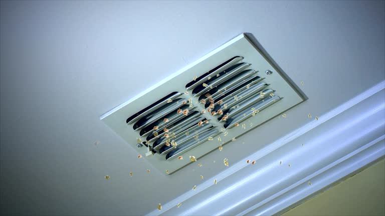 Best Duct Cleaning for Homes  in Mineral Point, WI